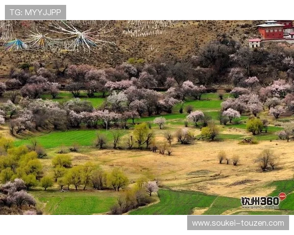 d8娱乐官网的用户评价与口碑分析，真实玩家体验分享