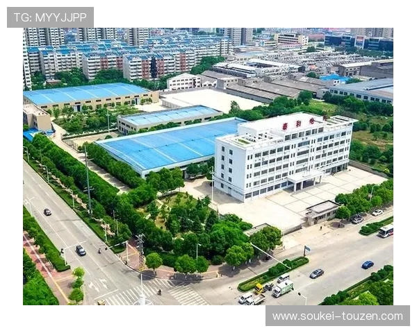 凯时尊龙总代理全面解析如何成为行业内最具影响力的代理商
